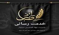سبزوار در مسیر خدمت به زائران رضوی؛ پشتیبانی ویژه مدیریت جهاد کشاورزی از مواکب ایام پایانی ماه صفر